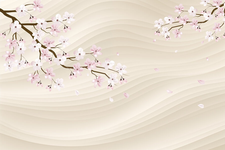 Baumzweig mit weißen und rosa Blüten
