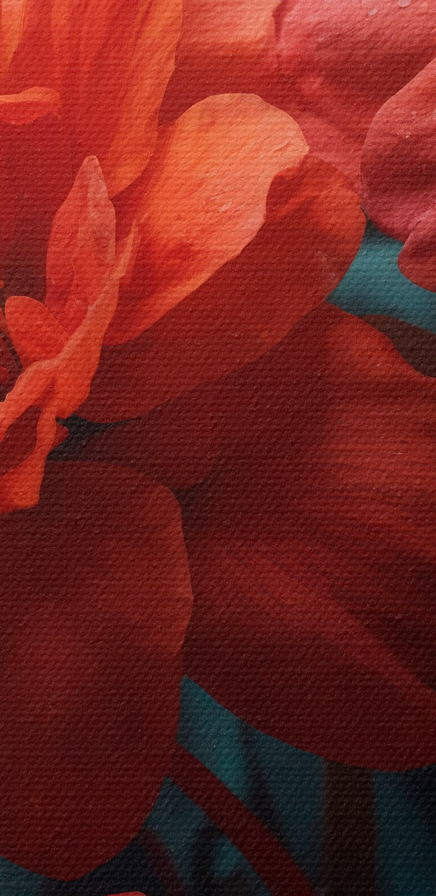 Gruppe von roten Blumen