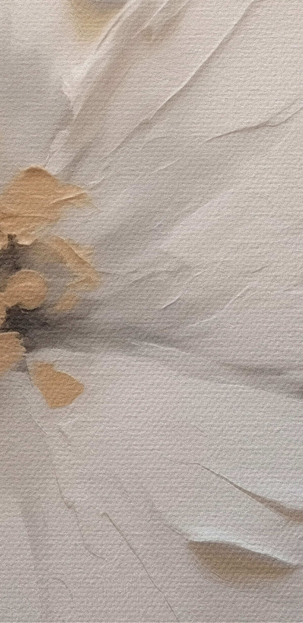 Zarte, weiße, blumige Eleganz Zarte, weiße, blumige Eleganz
