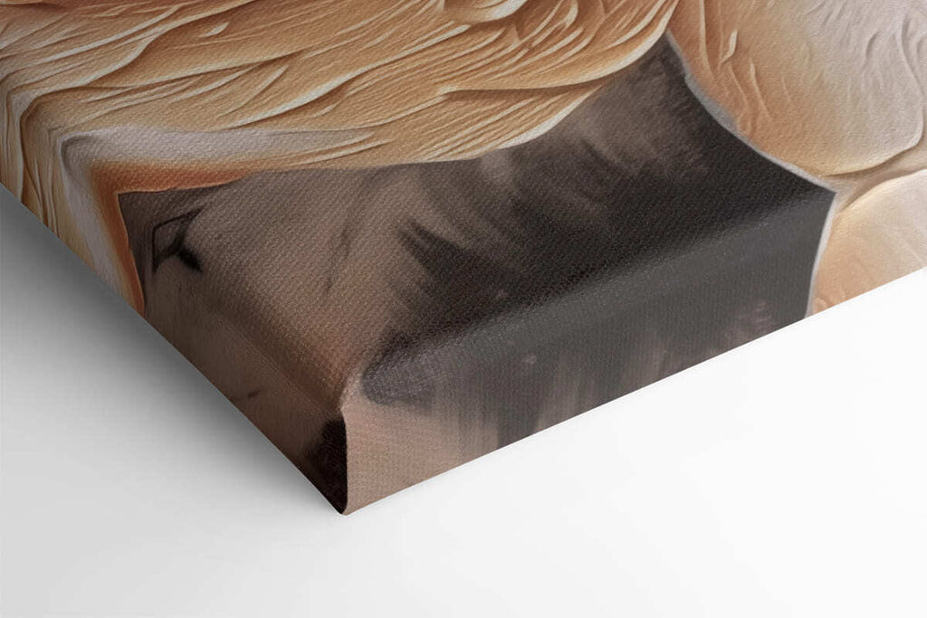 Delicate petals in soft colors Delicate petals in soft colors