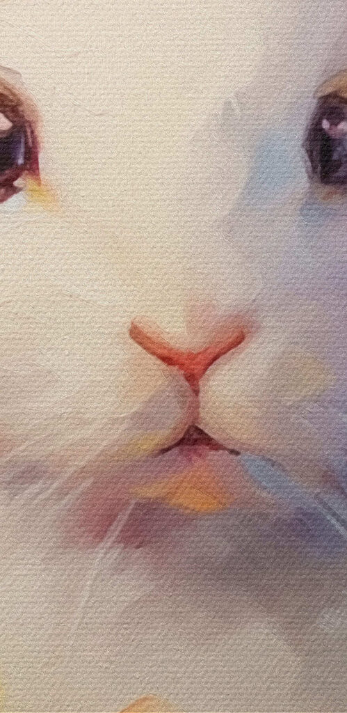 White rabbit in a flower field