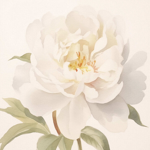 White flower with green leaves