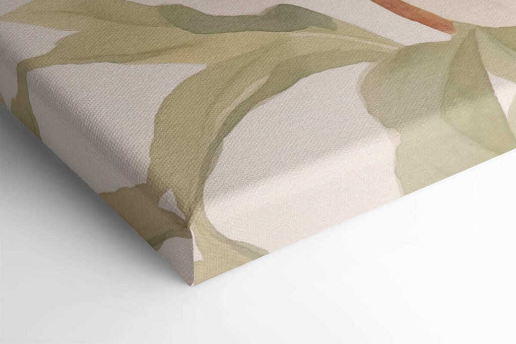 White flower with green leaves