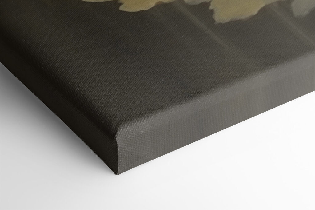 Group of white flowers Group of white flowers