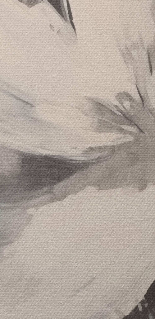 White flower on a black background