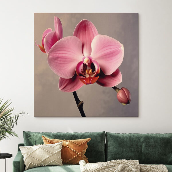 Wandbilder Zartrosa Orchidee in voller Blüte (Artikelnummer: s43245) Wandbilder Wandbilder Zartrosa Orchidee in voller Blüte (Artikelnummer: s43245)
