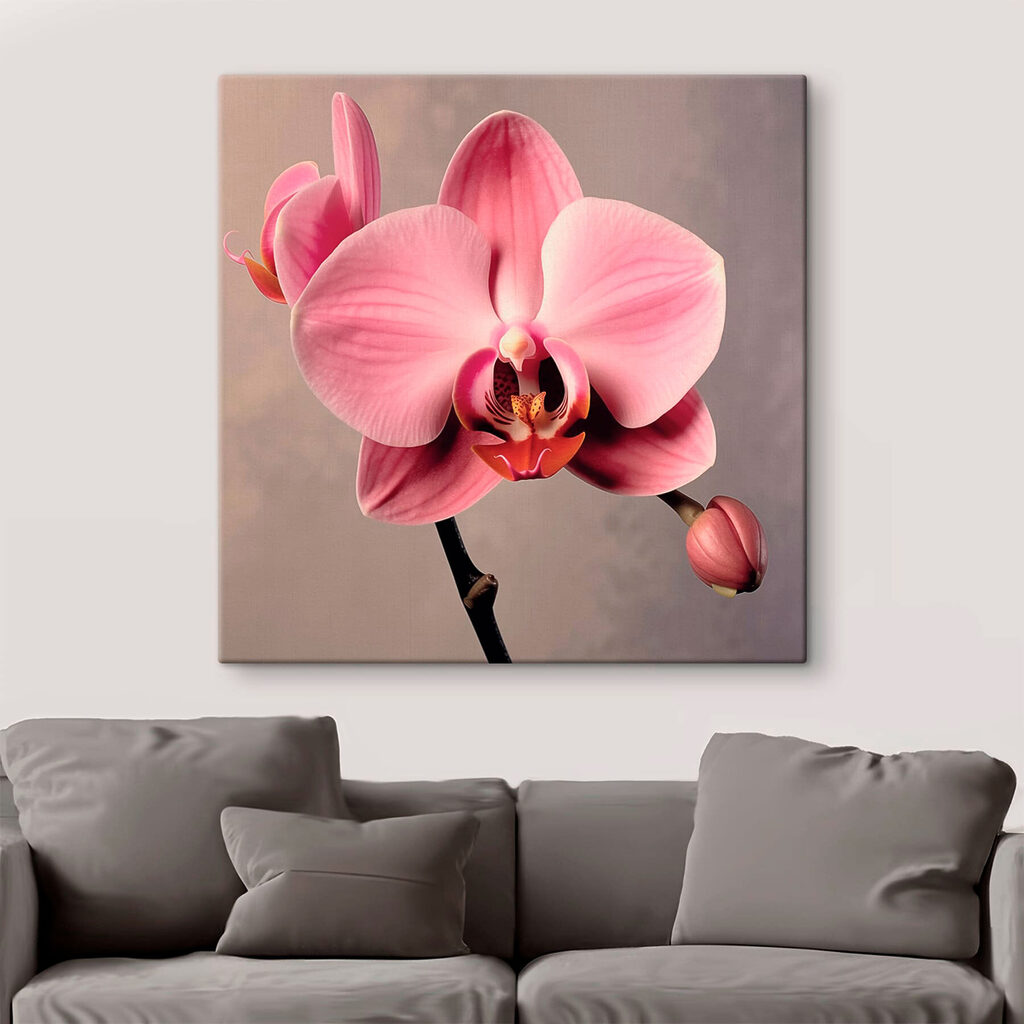 Delicate pink orchid in full bloom Delicate pink orchid in full bloom
