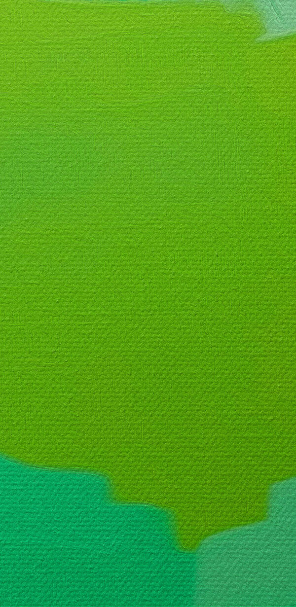 Grüner Papagei mit gelben Augen Grüner Papagei mit gelben Augen
