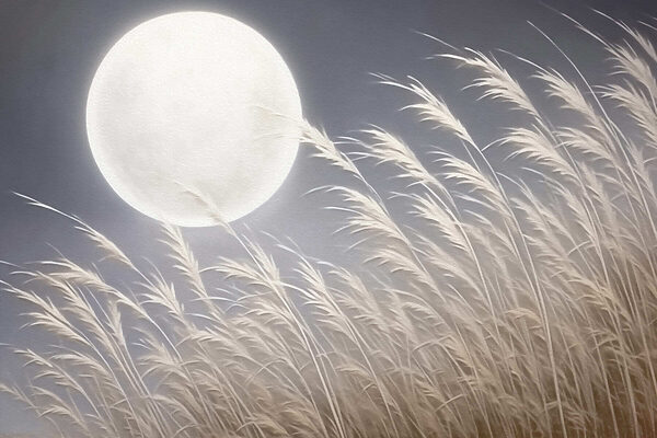 Der Mond am Himmel Der Mond am Himmel