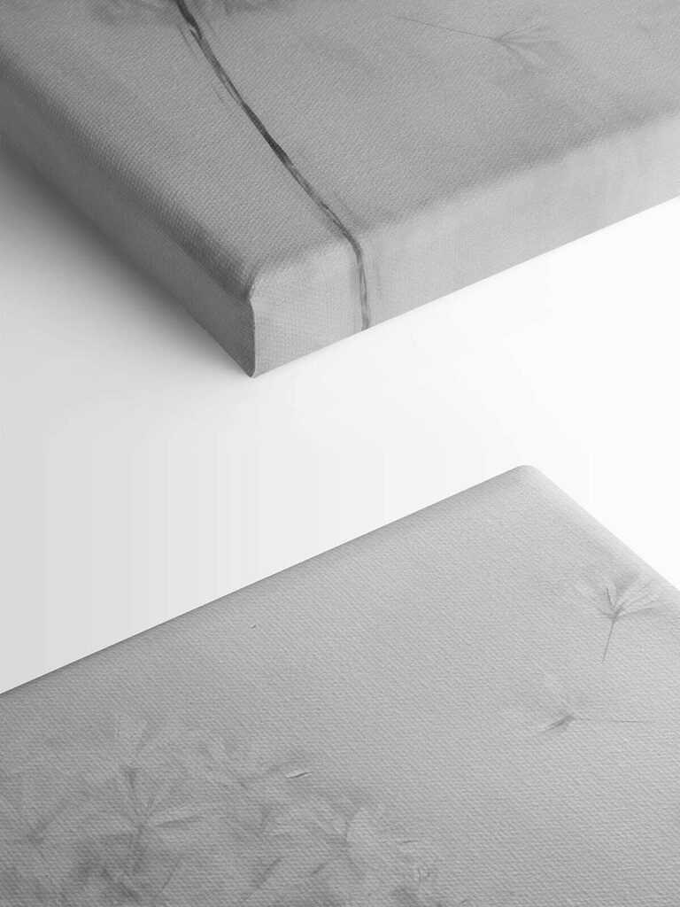 Dandelion flower with seeds flying in the air Dandelion flower with seeds flying in the air