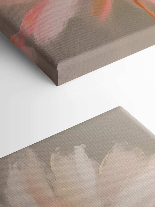 Delicate petals in soft hues Delicate petals in soft hues