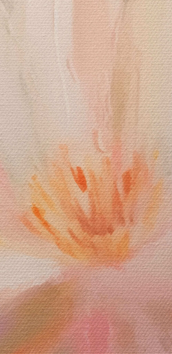 Delicate petals in soft hues Delicate petals in soft hues