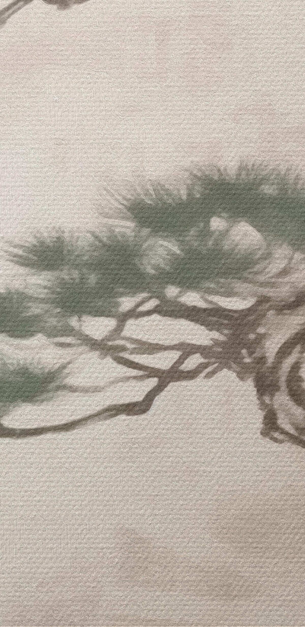 Baum auf einem Felsen Baum auf einem Felsen