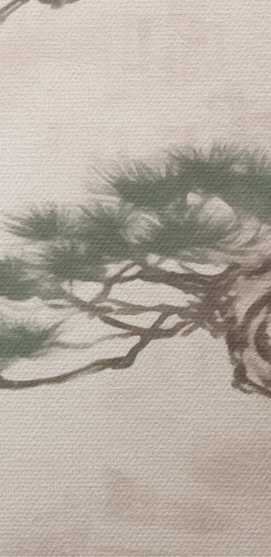 Baum auf einem Felsen Baum auf einem Felsen