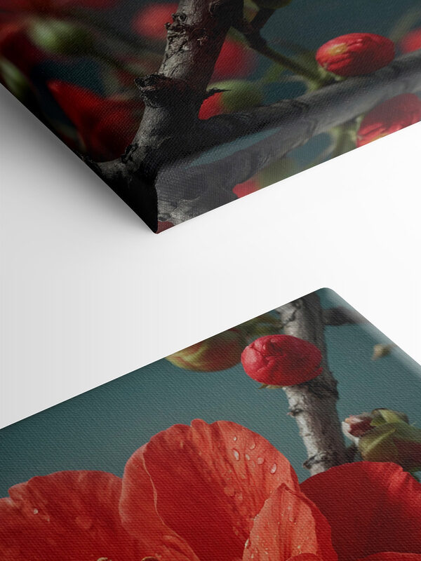 Lebendige Blüte mit zarten Wassertröpfchen Lebendige Blüte mit zarten Wassertröpfchen