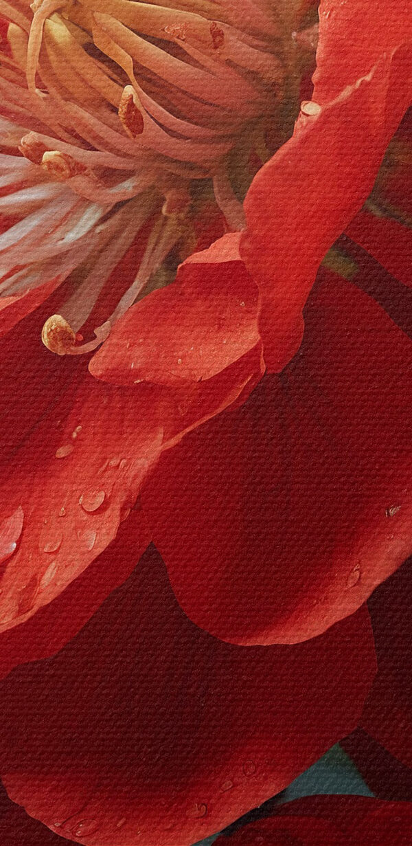 Lebendige Blüte mit zarten Wassertröpfchen Lebendige Blüte mit zarten Wassertröpfchen