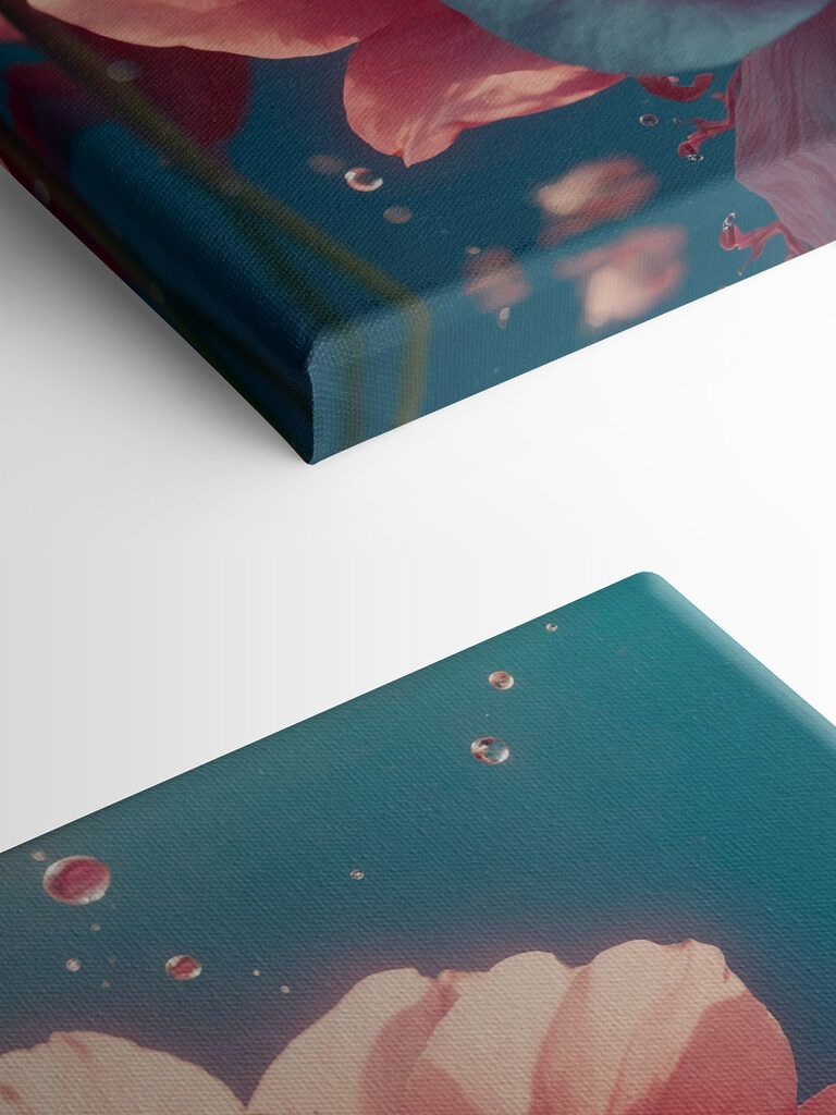 Delicate blooms in serene waters