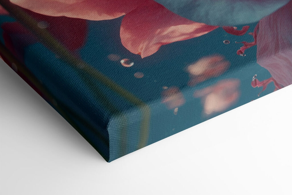 Delicate blooms in serene waters