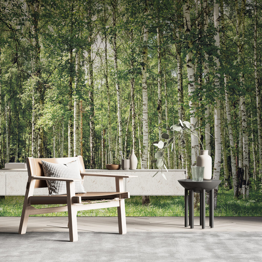 Group of trees in a forest