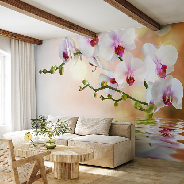 Weiße Orchideen auf einem Zweig mit Wasserplätschern Weiße Orchideen auf einem Zweig mit Wasserplätschern