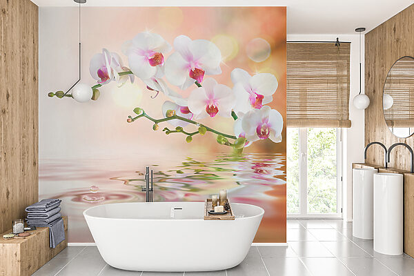 Weiße Orchideen auf einem Zweig mit Wasserplätschern Weiße Orchideen auf einem Zweig mit Wasserplätschern