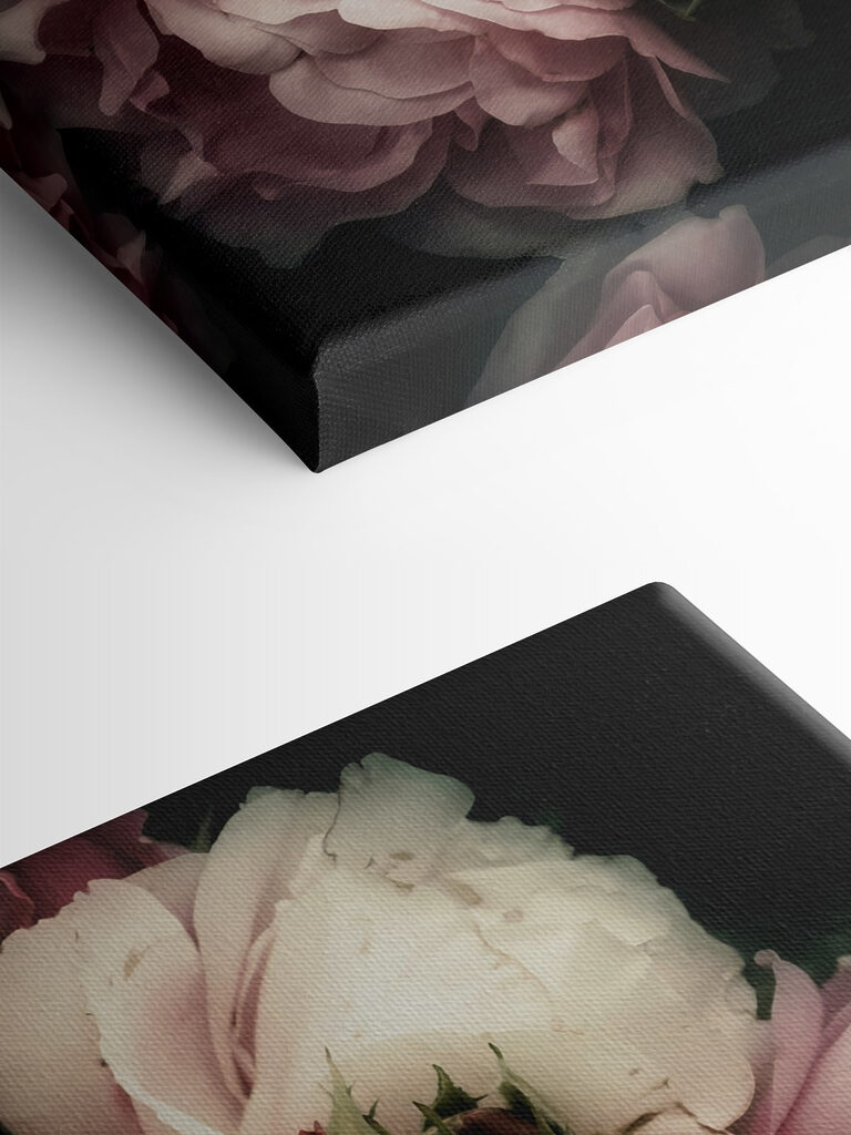 A group of pink and white roses