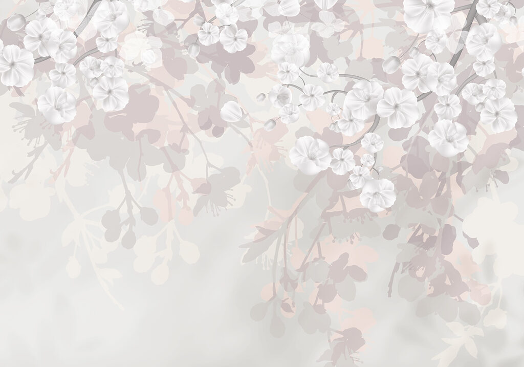 White flowers on a white background White flowers on a white background