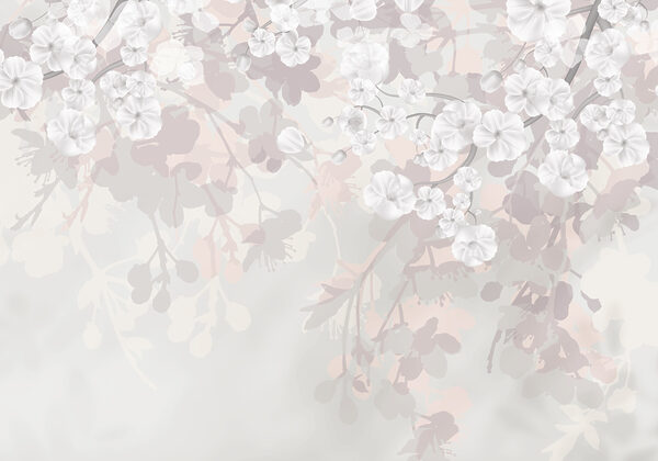 White flowers on a white background White flowers on a white background