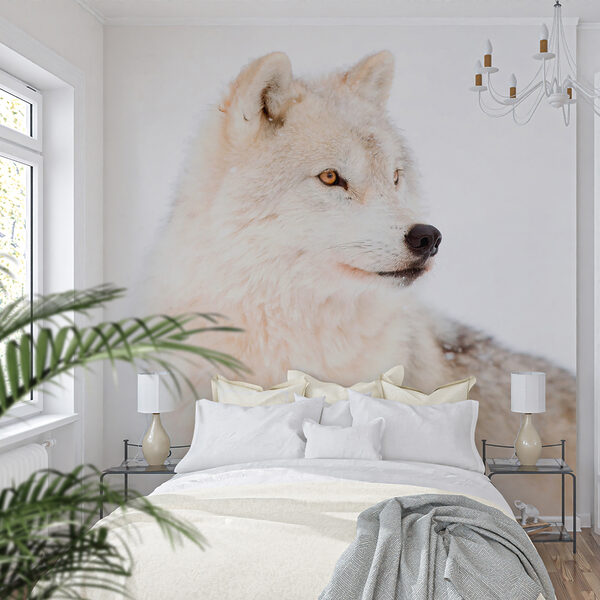Ein weißer Wolf im Schnee Ein weißer Wolf im Schnee