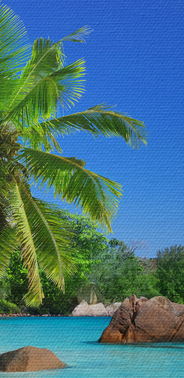 Ein Strand mit Palmen und blauem Wasser Ein Strand mit Palmen und blauem Wasser
