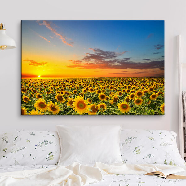 Ein Sonnenblumenfeld bei Sonnenuntergang s05429pib156m 600x600 - Ein Sonnenblumenfeld bei Sonnenuntergang
