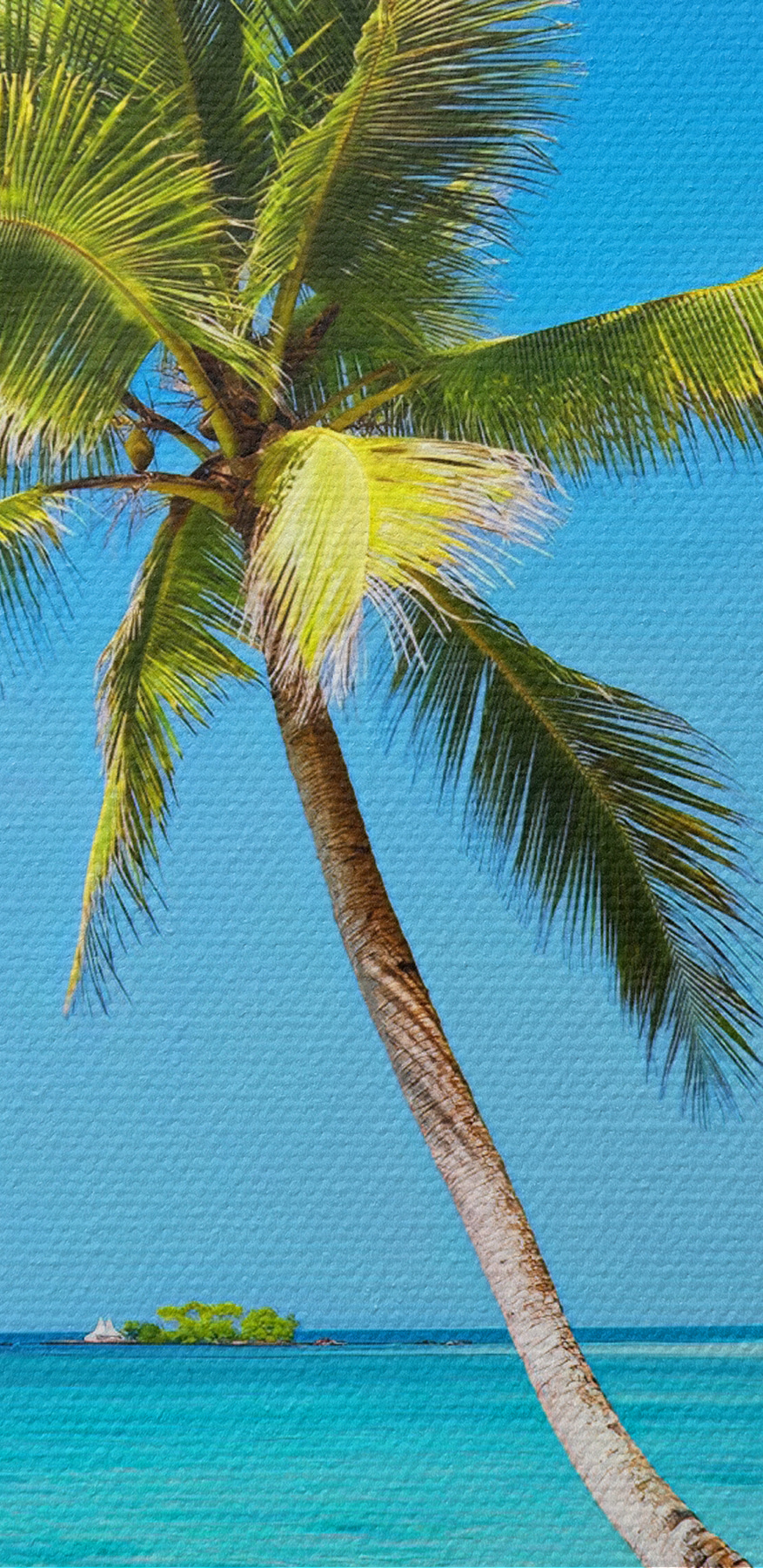 Palmen am Strand