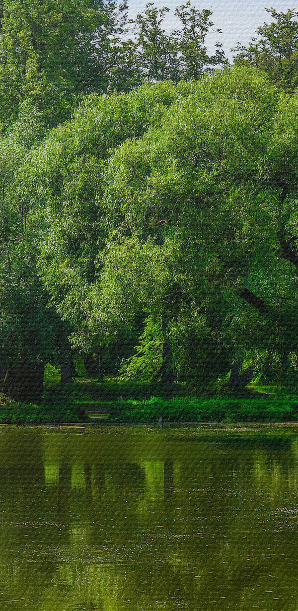 Ein Fenster mit einem See und Bäumen Ein Fenster mit einem See und Bäumen