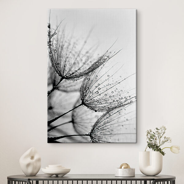 Close up of water droplets on seeds