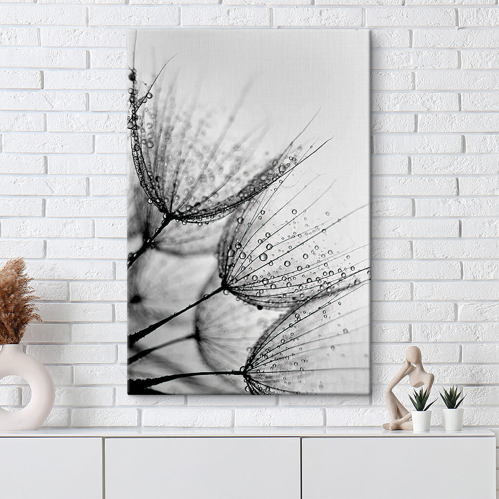 Close up of water droplets on seeds