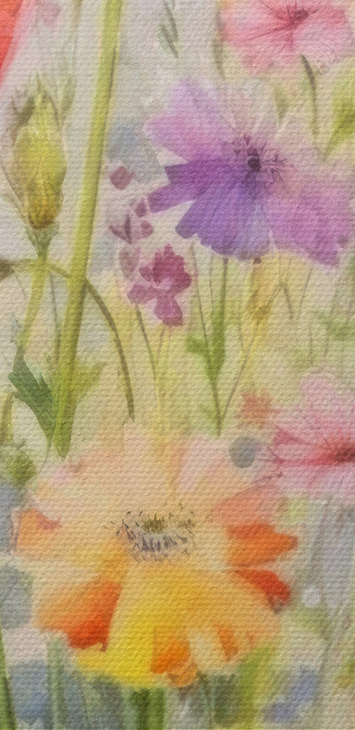 s33672pzvl 499x1024 - Ein Gemälde mit Blumen auf einem Feld
