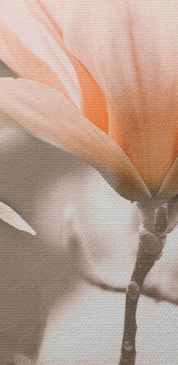 Eine Gruppe von Blumen auf einem Zweig Eine Gruppe von Blumen auf einem Zweig