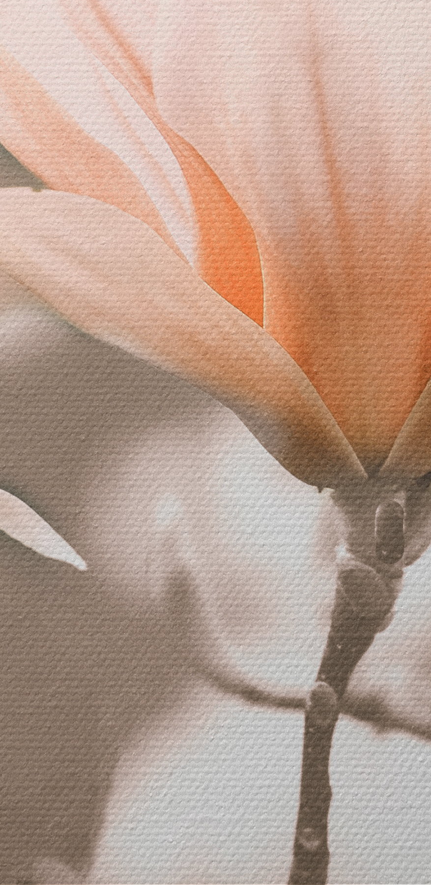 Eine Gruppe von Blumen auf einem Zweig