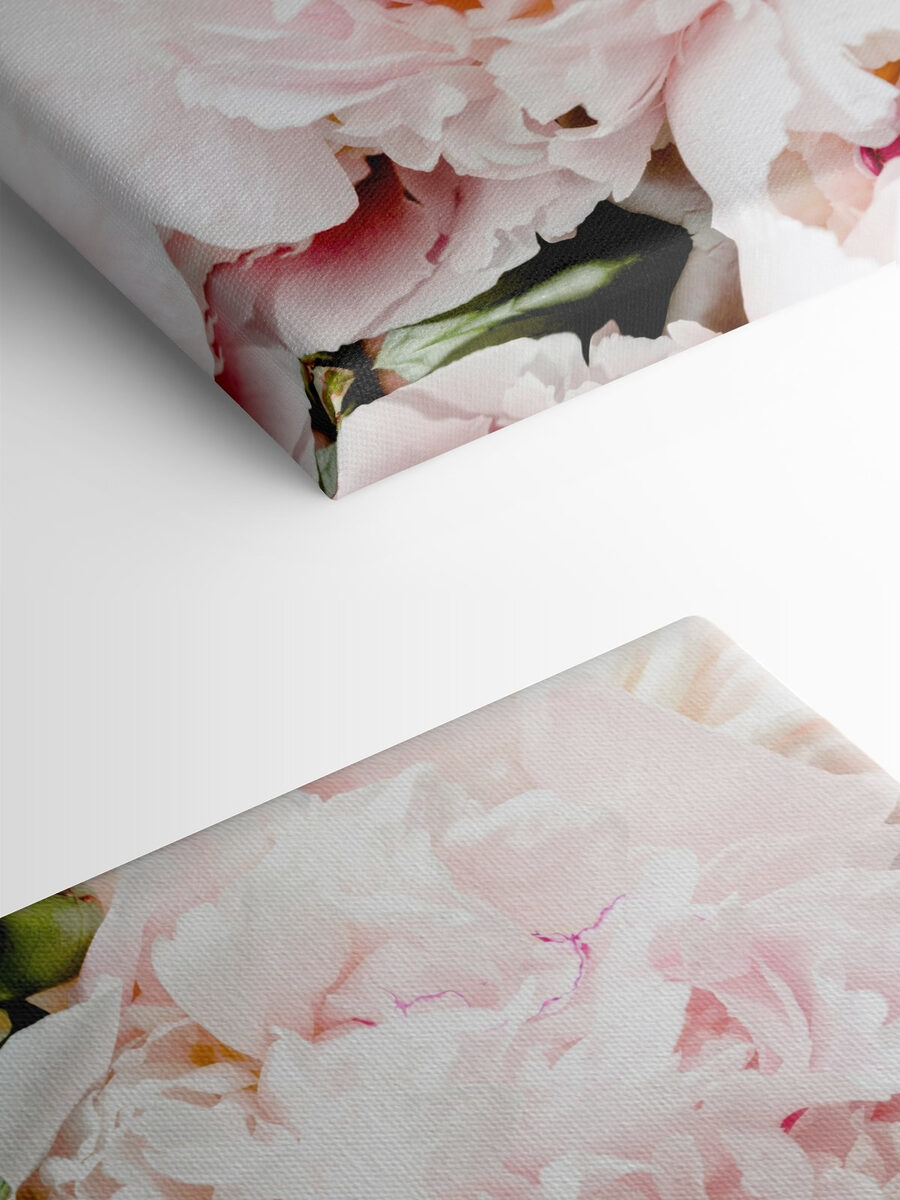 Eine Gruppe von rosa Blumen