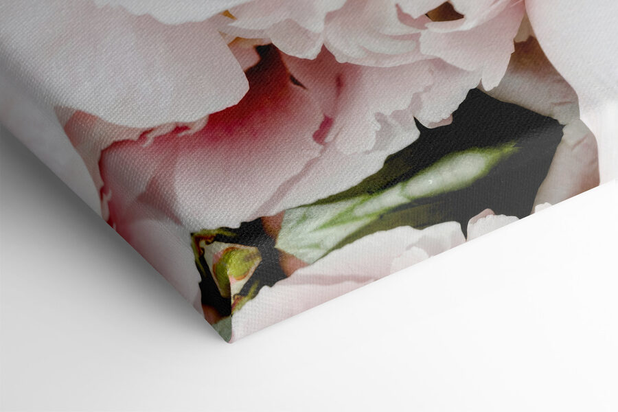 Eine Gruppe von rosa Blumen