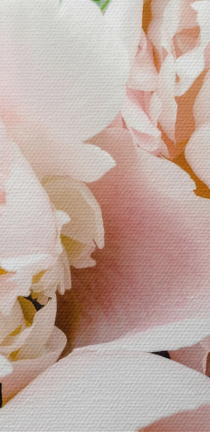 Eine Gruppe von rosa Blumen