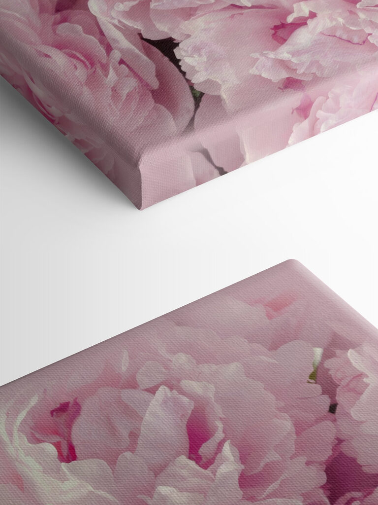 Eine Gruppe von rosa Blumen s35248pmlfn 768x1024 - Eine Gruppe von rosa Blumen