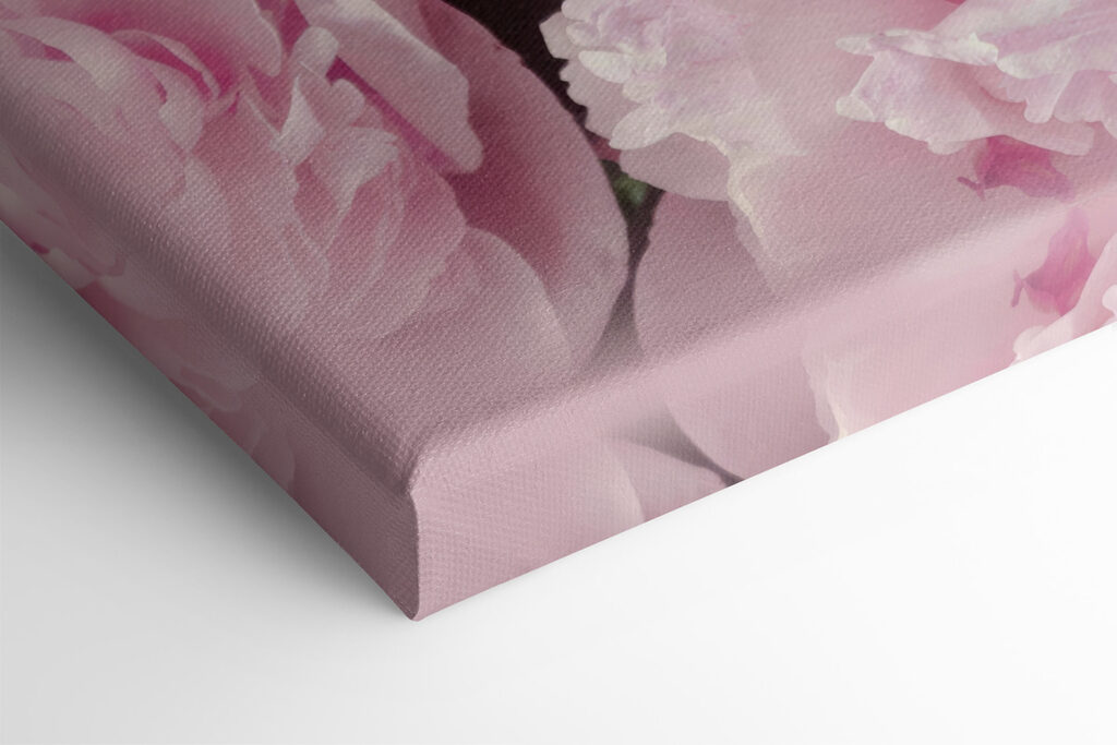 Eine Gruppe von rosa Blumen s35248pml 1024x683 - Eine Gruppe von rosa Blumen