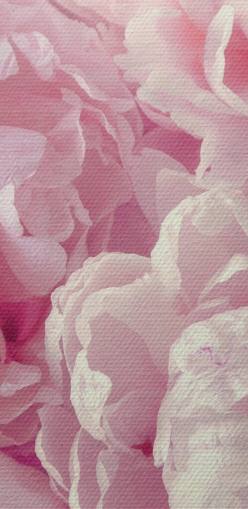 Eine Gruppe von rosa Blumen s35248pzvl 499x1024 - Eine Gruppe von rosa Blumen