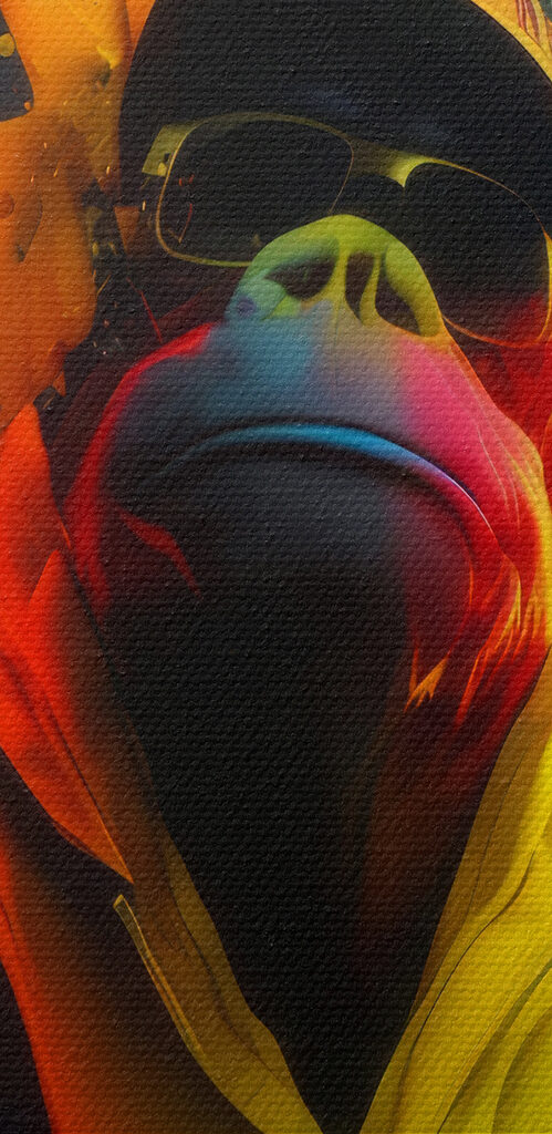 A collage of images of a monkey with colorful paint splashes A collage of images of a monkey with colorful paint splashes