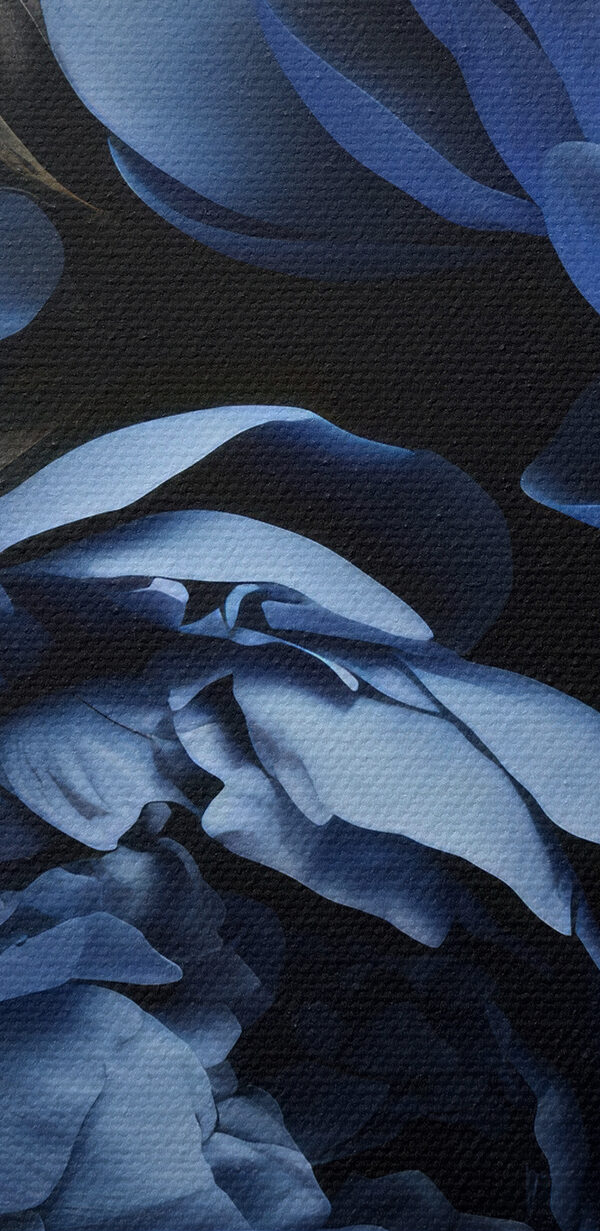Eine Gruppe von blauen Blumen Eine Gruppe von blauen Blumen