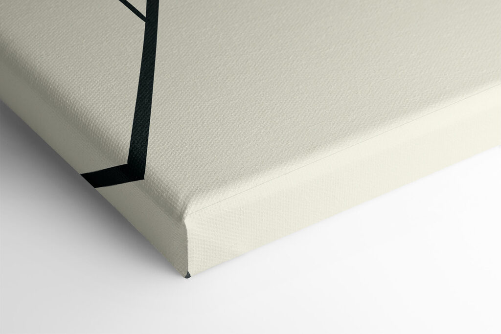 A close up of a plant A close up of a plant