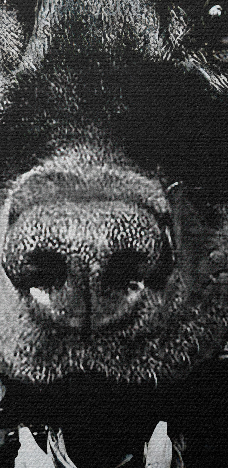 Ein Hund, der eine Pistole hält