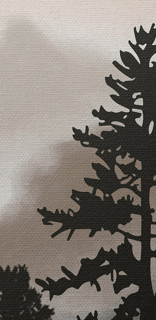 A group of trees in the fog