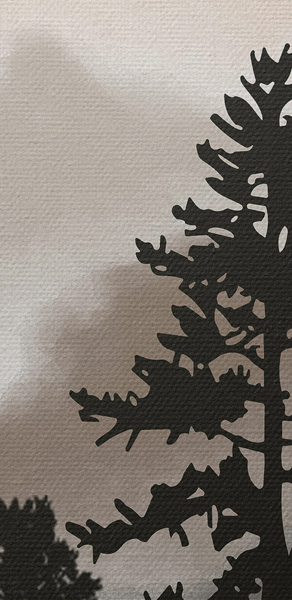 A group of trees in the fog